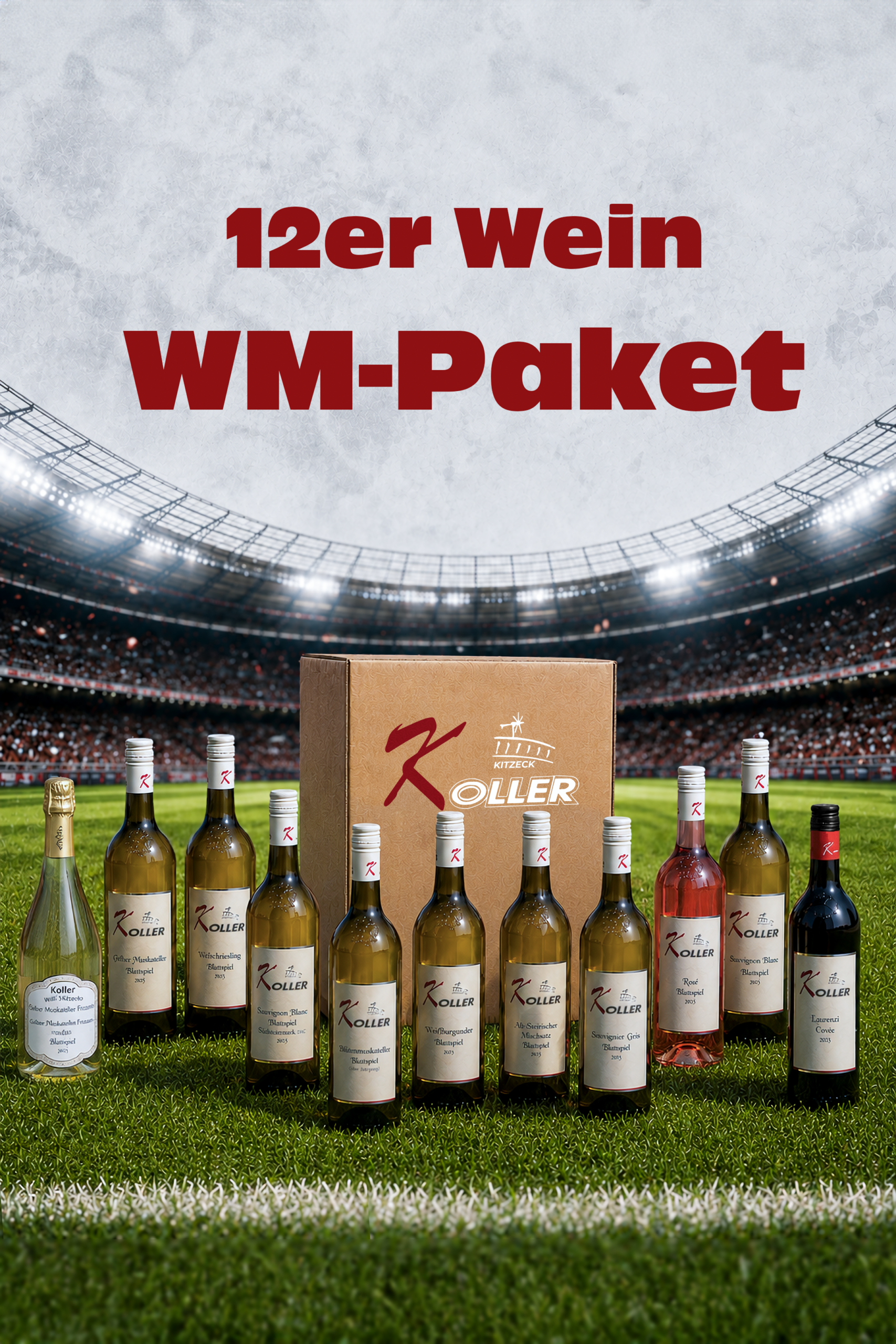 12er Wein WM-Paket